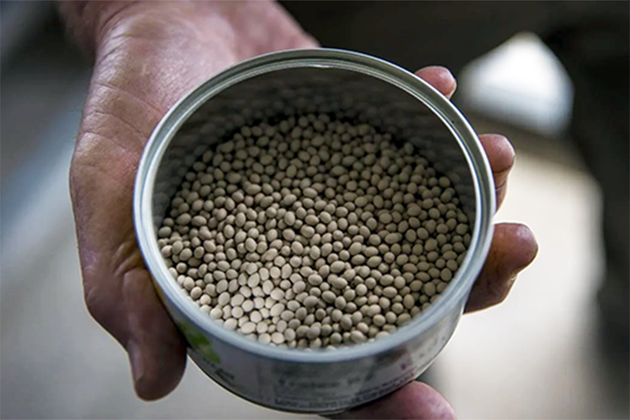 A taste of Taranaki: The novices growing lettuces by the thousands